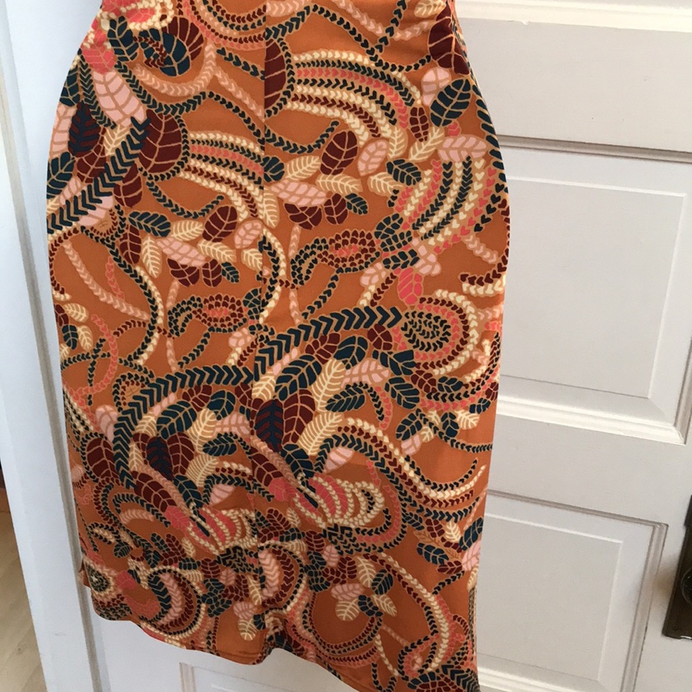 A.L.C. sz Large slip dress Autumn color floral pattern spaghetti straps Bodycon - Picture 7 of 9